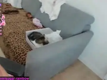 Chaturbate Best live sex cam show of sugar_rainbow