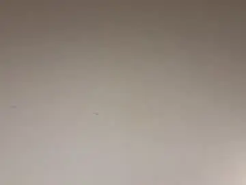 Chaturbate Sex Cam of cuteelsa_