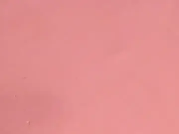 Chaturbate Best Webcam of annytorres