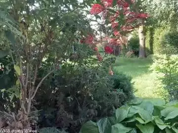 Chaturbate Live Sex Cam of patry333