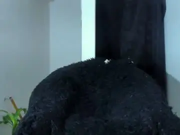 Chaturbate Adult Video Chat of shooter_boy_