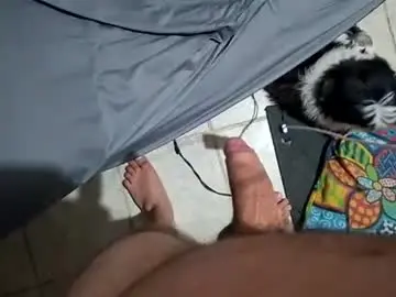 Chaturbate Free Porn Cam of gustavooshoow