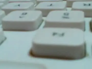 Chaturbate Adult Webcams of curious_girl247