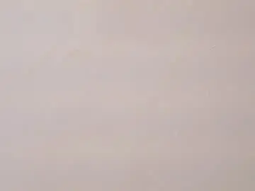 Chaturbate Live Sex of bella_wiild