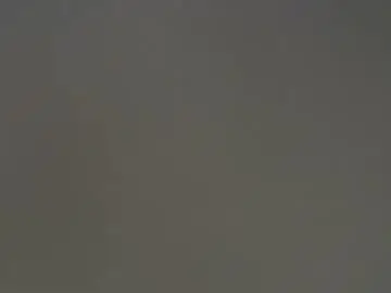 Chaturbate Sex Chat of salamandertime