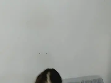 Chaturbate Private Sex Chat of obsidiva