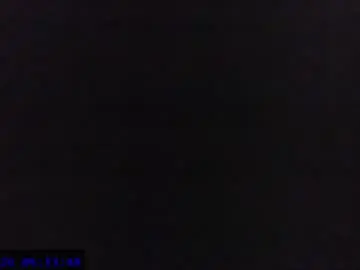 Chaturbate Live Sex of maxel_f
