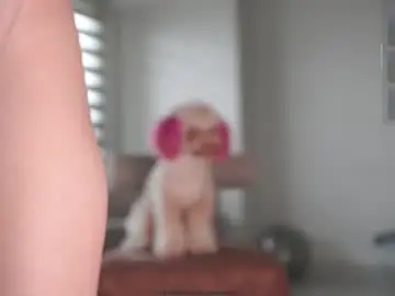 Chaturbate Adult Video Chat of belle_adrienne