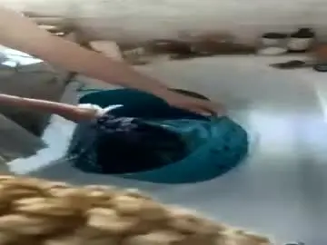 Chaturbate Free Live Porn of humiliationbucket
