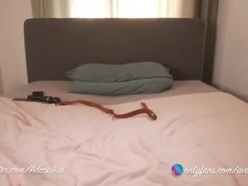 Chaturbate Adult Webcams of ava_adora