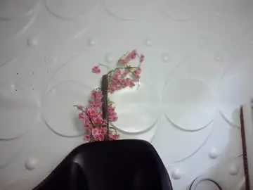 Chaturbate Live Sex of ebonykissxx