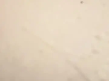Chaturbate Sex Cam of thel0stboybigcock
