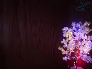 Chaturbate Nude Webcam of xforyoureyesonlyx