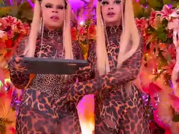 Chaturbate Free Porn Cam of spicysluts