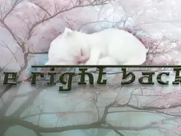 Chaturbate Free Live Porn of sleepyheadcats