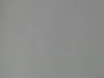 Chaturbate Live Sex of gley_