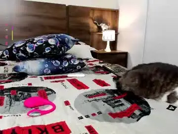 Chaturbate Free Porn Cam of hanny_13