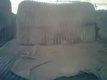 Chaturbate Watch Live Sex Cams of masterbed69