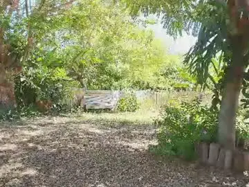 Chaturbate Free Porn Cam of paoguerrax354