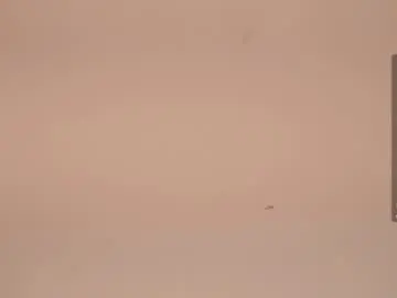 Chaturbate Adult Video Chat of sweetyoops