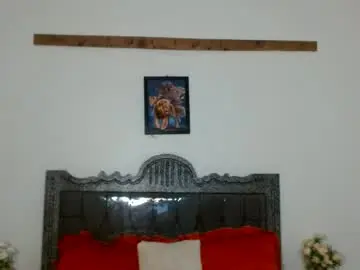 Chaturbate Live Sex of shiratie