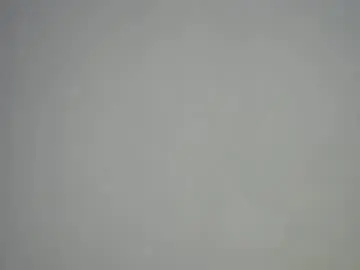 Chaturbate Adult Webcams of sweet_pussy04