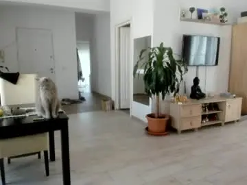 Chaturbate Adult Webcam of woolfiie