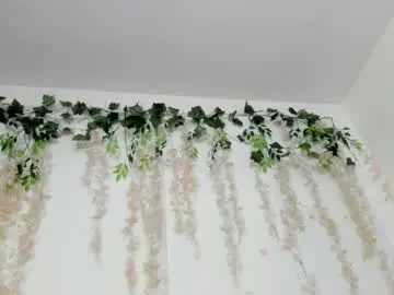 Chaturbate Adult Webcams of liz_lunaa
