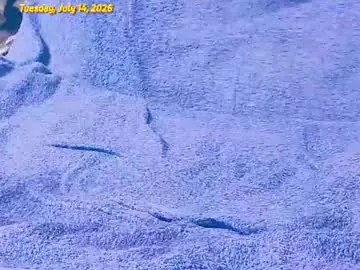 Chaturbate Sex Cam of ornimegalonyx