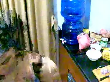 Chaturbate Best live sex cam show of jellynspicy