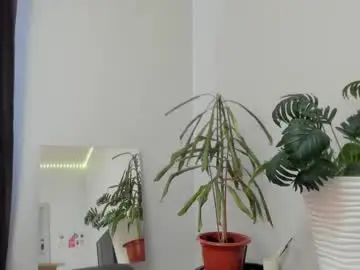Chaturbate Free Porn Cam of manita_misti