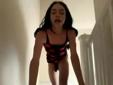 Chaturbate Adult Webcam of dynasty313