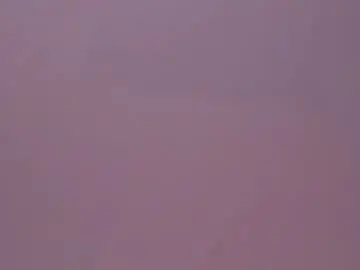 Chaturbate Adult Webcam of softangelxkisses