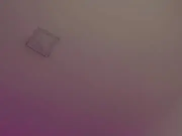 Chaturbate Sex Cam of chris_twiink