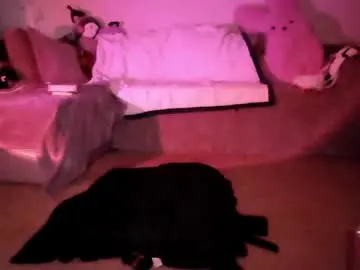Chaturbate Sex Cam of kattattacck