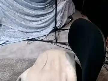 Chaturbate Sex Cam of bobbyhill27b