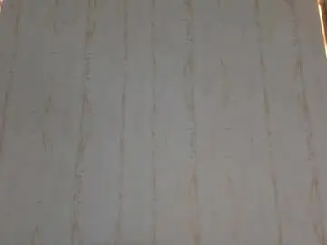 Chaturbate Adult Webcam of 1threestar