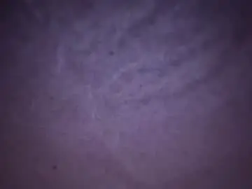 Chaturbate Free Porn Cam of cami_mila99