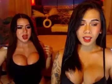Chaturbate Best Webcam of transpornidol