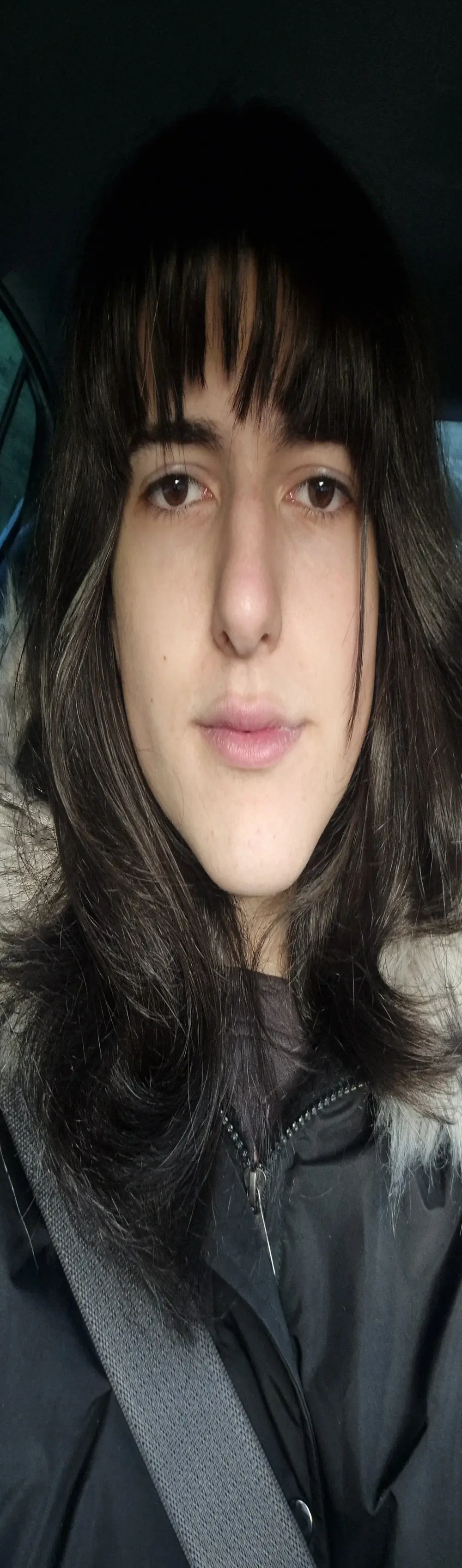 Sakura_trans