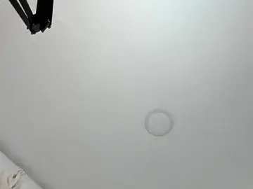 Stripchat Adult Webcam of sarita_loven