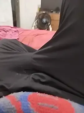 Stripchat Best Webcam of zerobert69