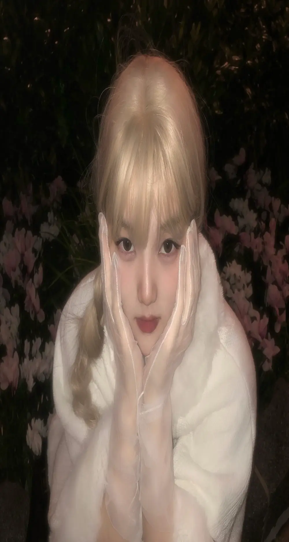 Evil-Bunny007