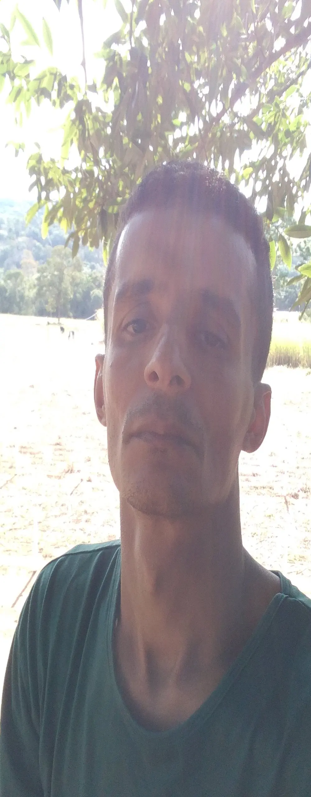 morenogato100
