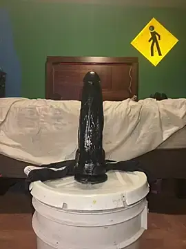 Stripchat Free Porn Cam of Ricorry@xh