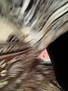 Stripchat Live Sex Cam of angelitasexy81