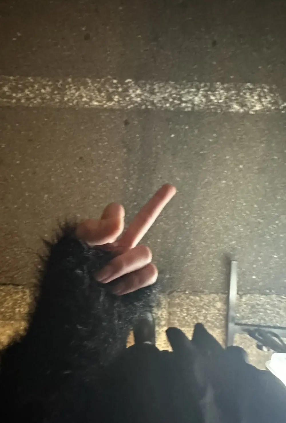 Mr_Genghis_Khan