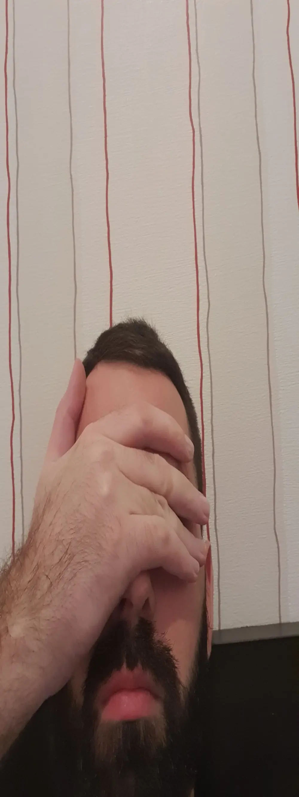 Binggo2