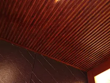 Stripchat Free Porn Cam of lissafeniix_