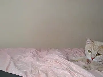 Stripchat Sex Cam of Just_alice